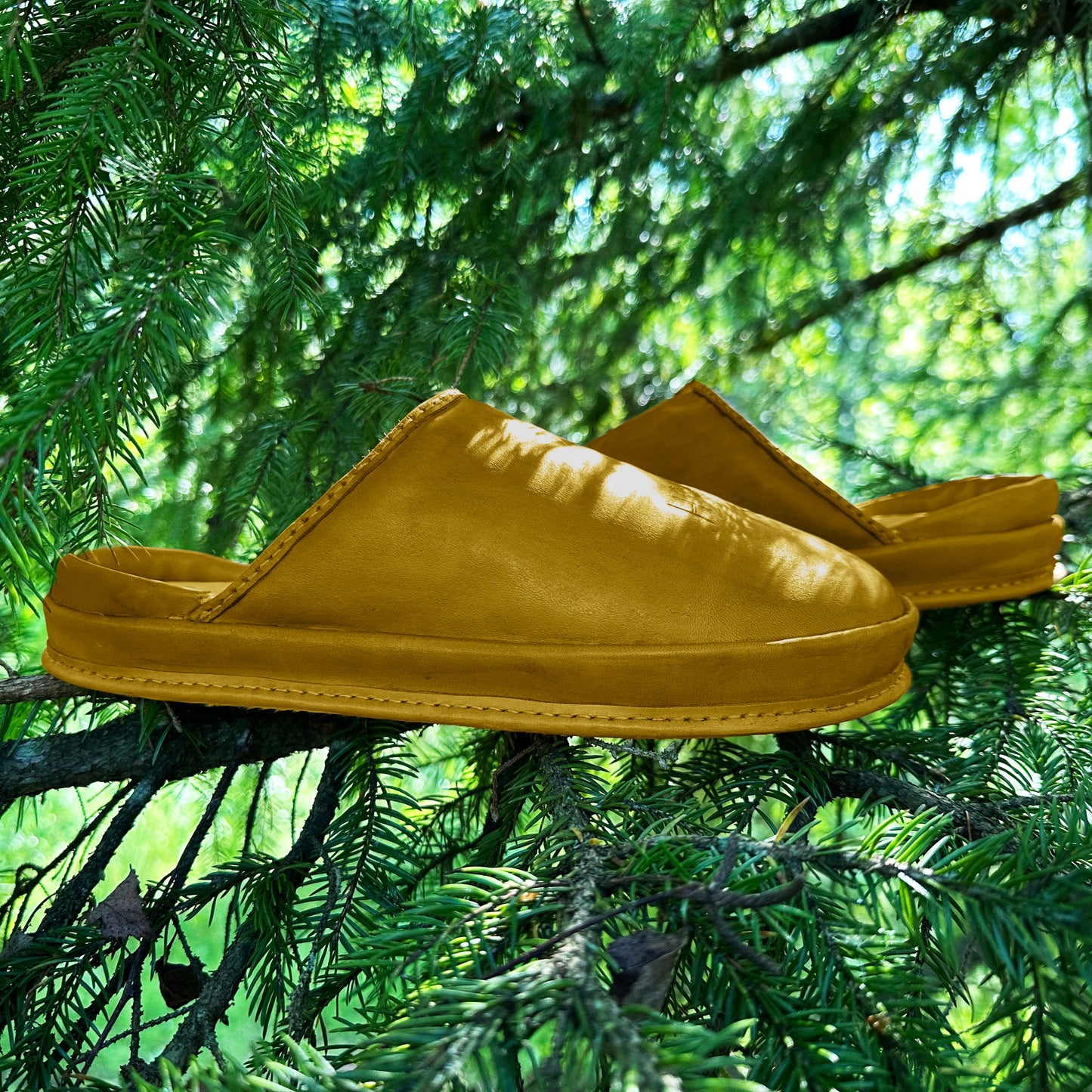 Olive Earth leather slippers photographed on a forest backdrop. This image highlights the natural feel and eco friendly design of our anatomical footwear.
