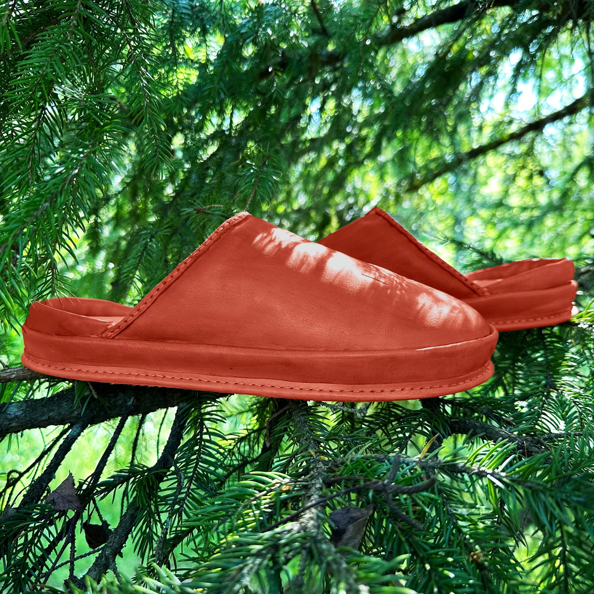 Comfortable anatomical Terracotta Ember clogs forest backdrop. Nature-inspired Terracotta Ember eco-friendly leather clogs. 